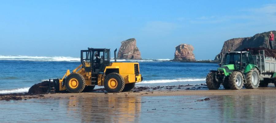 Algak eta Maskorrak, Jentilak eta Tonbak