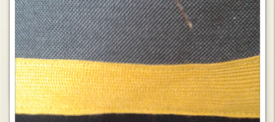 Loneta grisak, zinta mostazarekin.