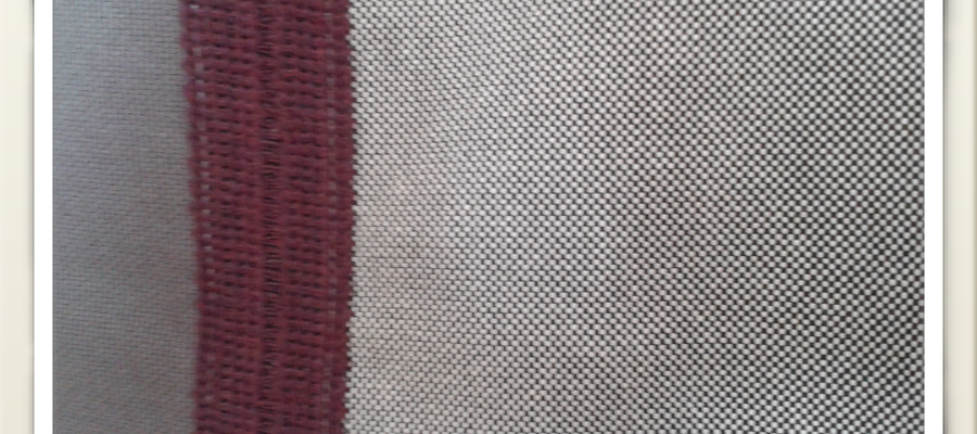 Loneta grisak, zinta berenjenarekin.