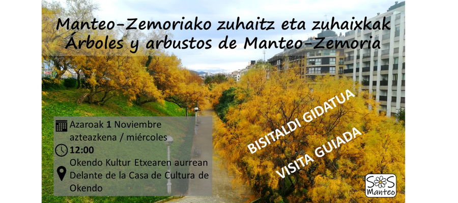 Bisita gidatua: Manteo Zuhaitzak (2023-11-01)  // Visita guiada: Arbolado de Manteo (01-11-2023)