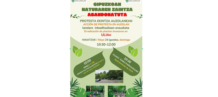 Landara inbaditzaileak / Plantas invasoras (Ulia, 2026-05-24)