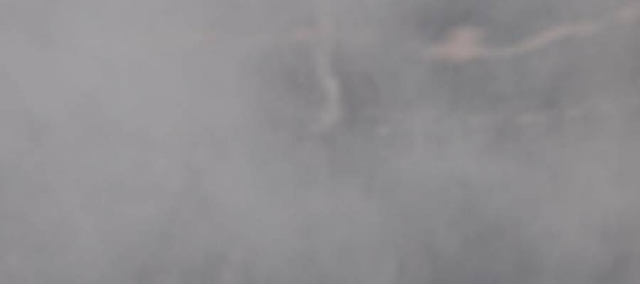 ERIC DICHARRY, ART, EDITIONS POST MORTEM, 2025.