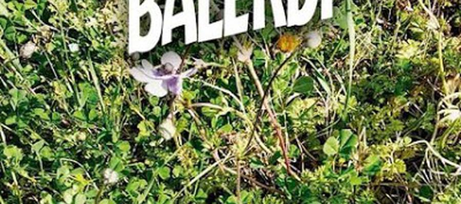 Balerdi Balerdi "Udaberri alua" (Gor)