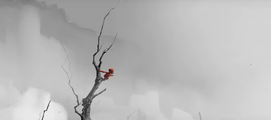 Palma-olioa eta BHko gobernuaren jarrera