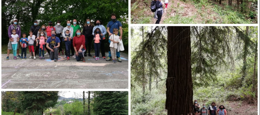 DOMEKAN IKUSITAKOA JAKIN NAHI?