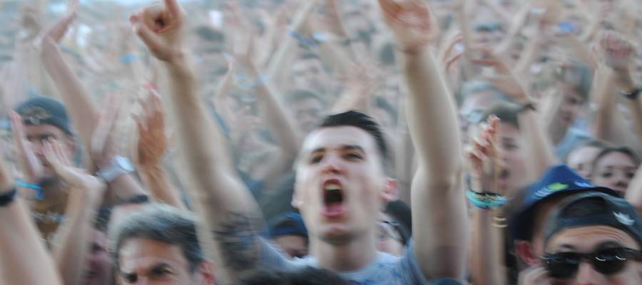 BIG FESTIVAL 2016 / PHARELL WILLIAMS ++