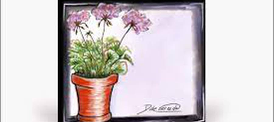 Dube "Ezer ez da" (Egilea editore)