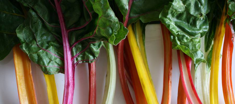 Ostadarraren alabak gara