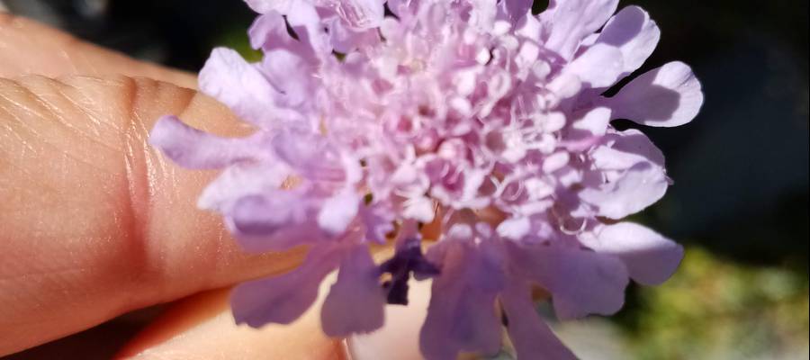 Pranayama: Ujjayi arnasketa