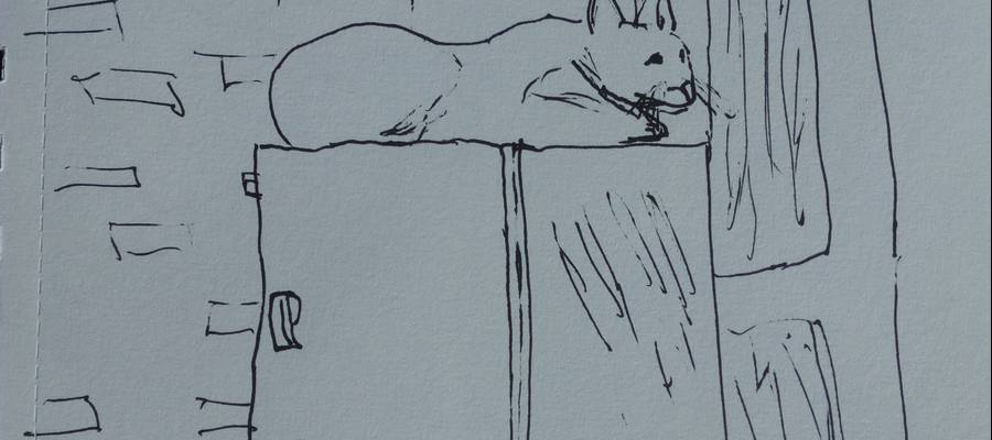 Asuncionen egon-egonean: Mindfulness