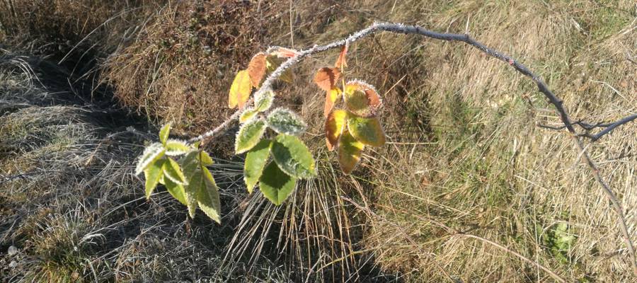 Jakinmina eta naturaltasuna uztartzen direnean...