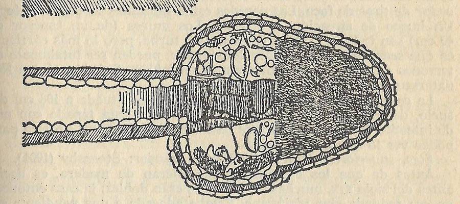 Labirintologia (3. maila): Iglua
