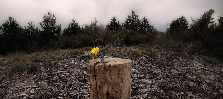 Pantxoa Carrere "Esperantzan" (Baga-Biga)