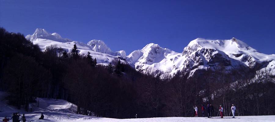SOMPORT. 2014ko otsailak 22