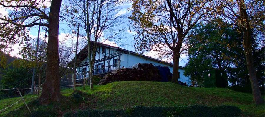 Txirrita bertsolariaren bizitokia