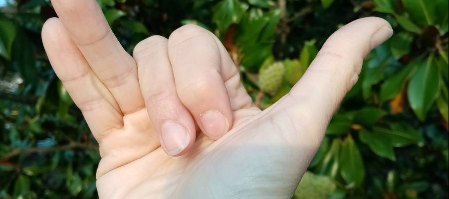 Nadi Sodhana pranayama edo txandakako arnasketa