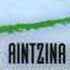 Aintzina Baigorri