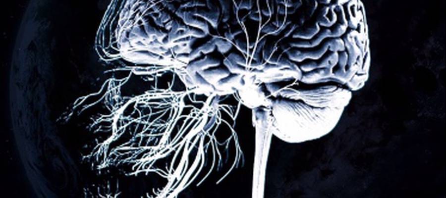 BIZARRO "DESHUMANIZAZIOA" (ALMEHUNA, 2020)