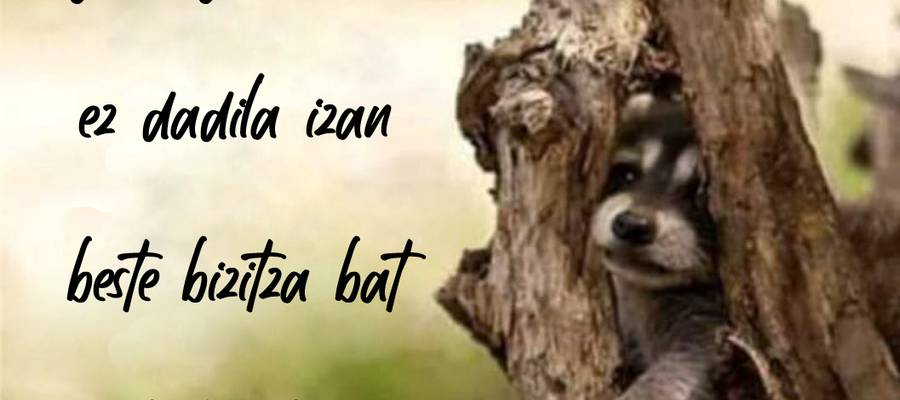 Ez dadila kaltetzeko izan...