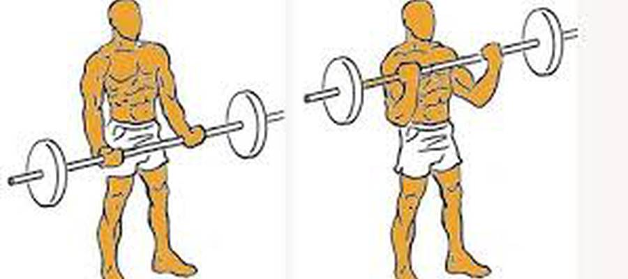 CURL BICEPS