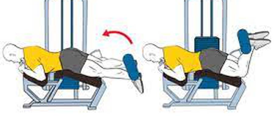 CURL FEMORAL