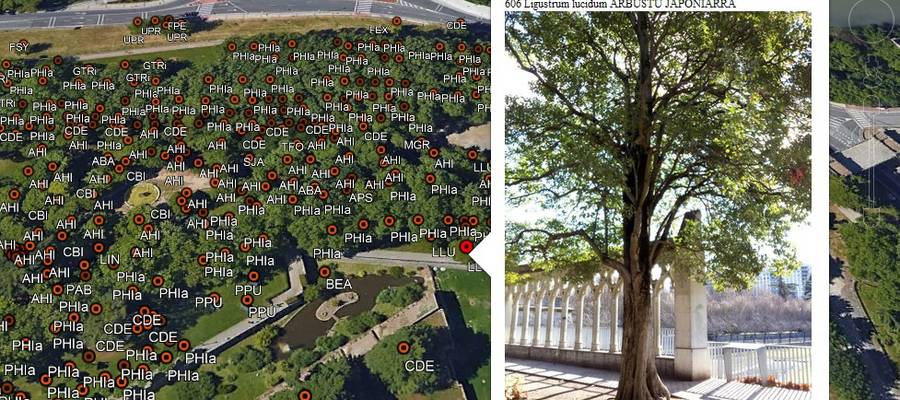 Google Earth-en erabilitako argazkiak