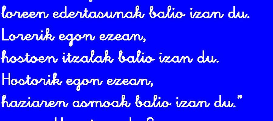 Amaitu da bi urteko bidaia. Zorte on berrian!