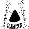 ILINTXA ELKARTEA
