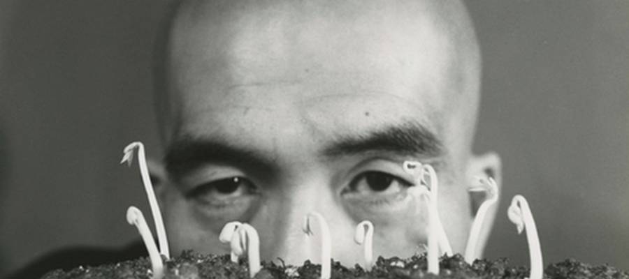 AIPAMENA / TETSUMI KUDO