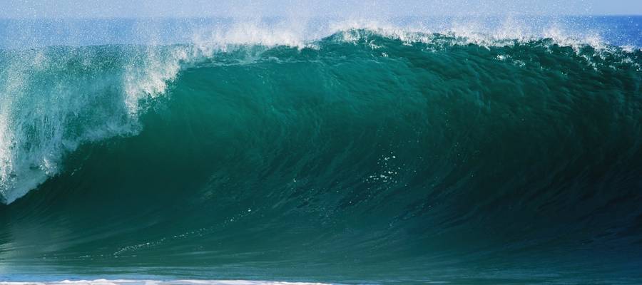 Ciutadans, surflaria edo olatua?