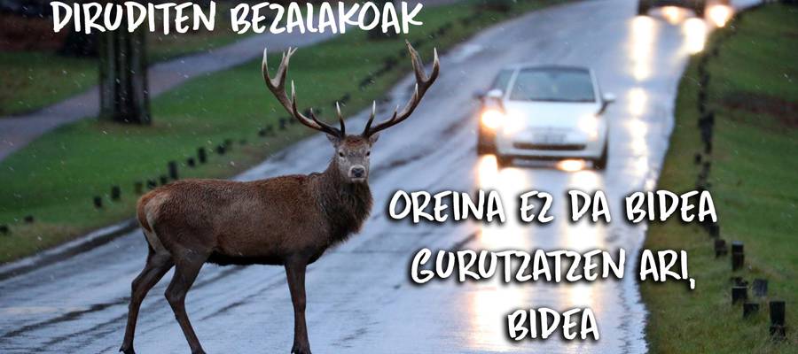 Beti gauzak ez dira diruditen bezalakoak...
