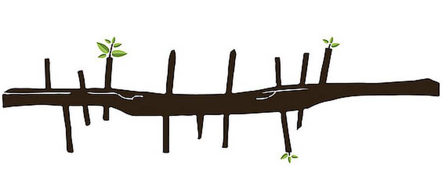 Euskal Pizkundea 60ko hamarkadan