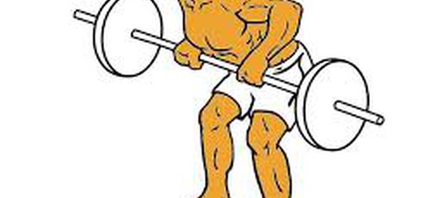 ROWING WITH BAR