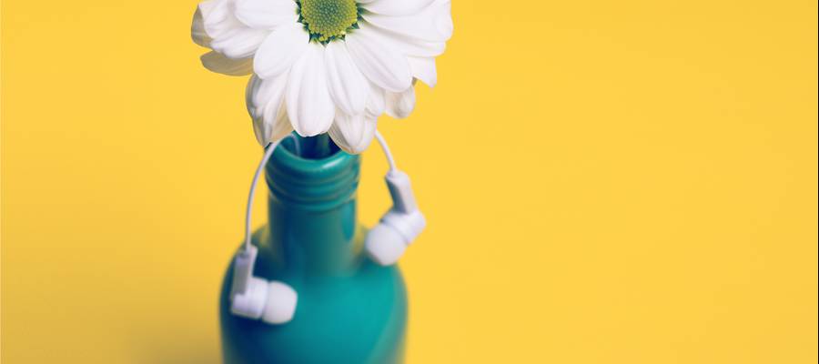 "Entzun etimologia grekoa eta latindarra xuxurlaka!" - Pentsaera Konputazionala lantzeko proposamena.